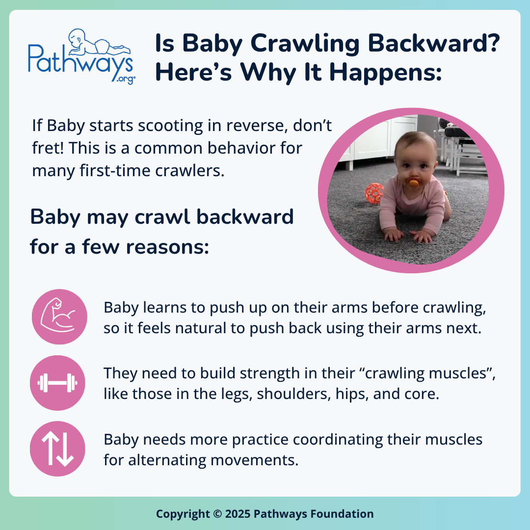 Crawling Raver Baby Crawling Backwards Gif